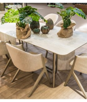 SALLE À MANGER Plinto